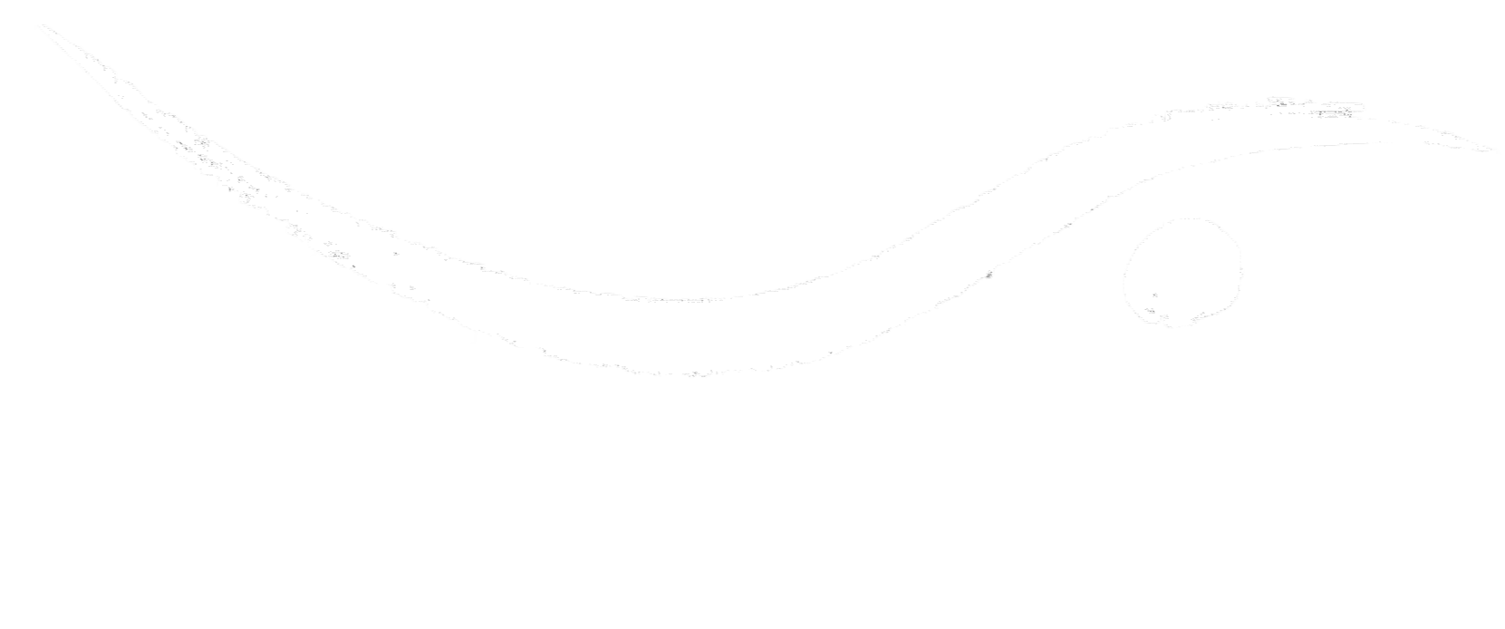 Art of Swimming Academy logo